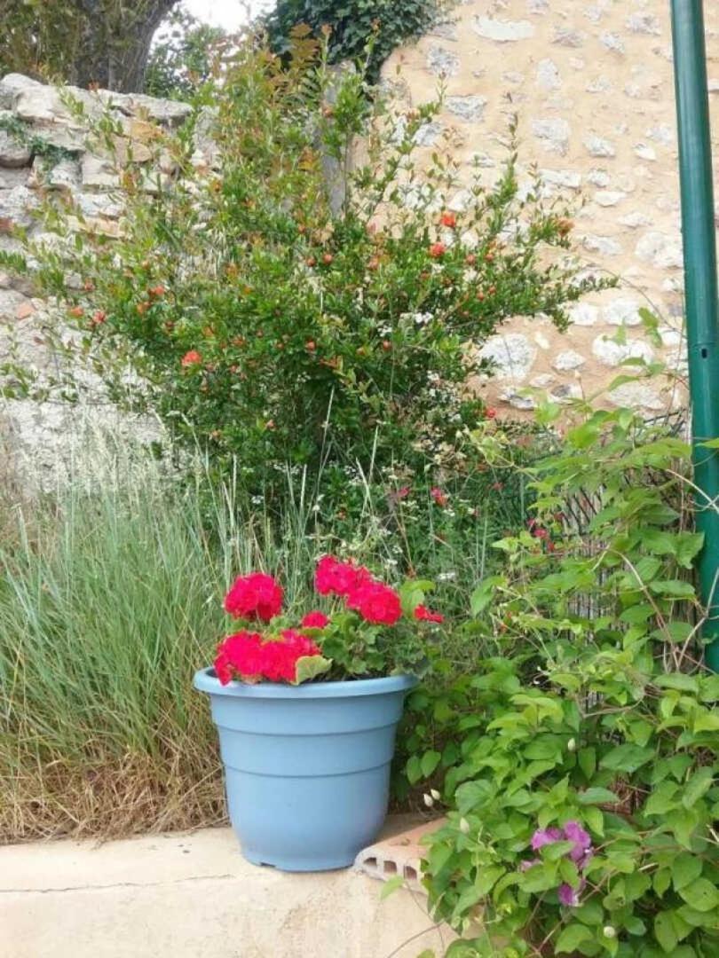 Villa Cécile à Montgaillard  Extérieur photo