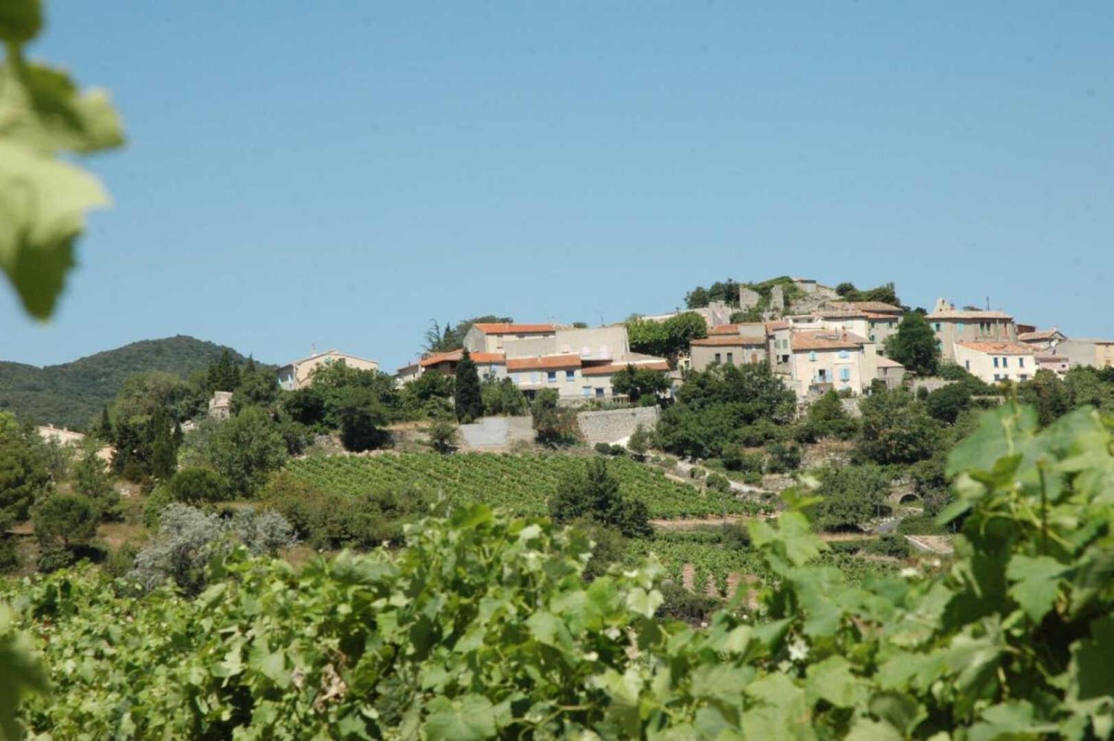Villa Cécile à Montgaillard  Extérieur photo
